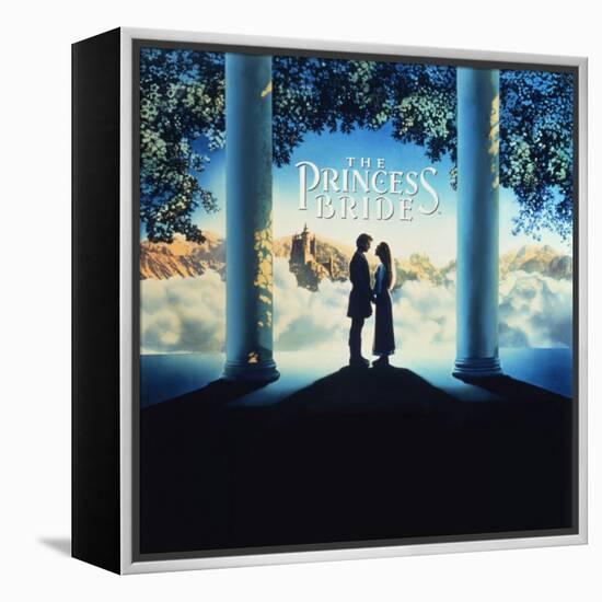 The Princess Bride Video Cover-null-Framed Stretched Canvas