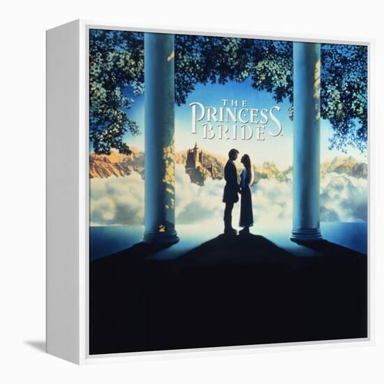 The Princess Bride Video Cover-null-Framed Stretched Canvas