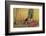 The Princess is Woken by the Prince's Kiss-Warwick Goble-Framed Photographic Print