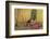 The Princess is Woken by the Prince's Kiss-Warwick Goble-Framed Photographic Print