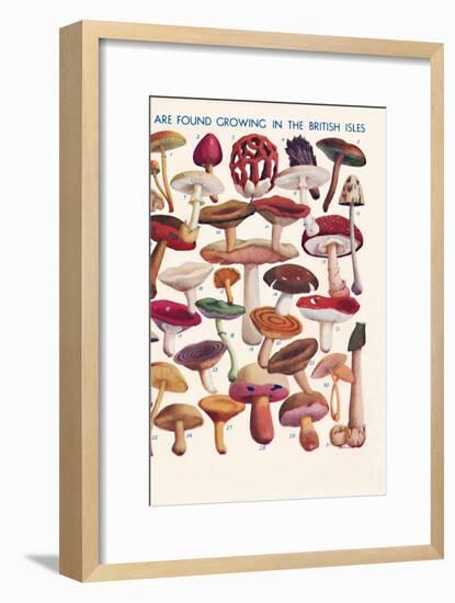 'The Principal Edible and Poisonous Fungi In The British Isles', 1935-Unknown-Framed Giclee Print