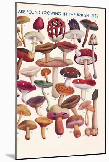 'The Principal Edible and Poisonous Fungi In The British Isles', 1935-Unknown-Mounted Giclee Print