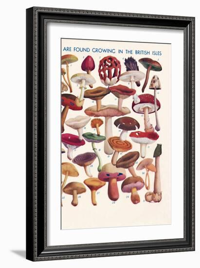 'The Principal Edible and Poisonous Fungi In The British Isles', 1935-Unknown-Framed Giclee Print