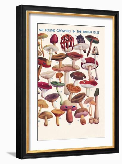 'The Principal Edible and Poisonous Fungi In The British Isles', 1935-Unknown-Framed Giclee Print