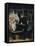 The Prints Collector-Honoré Daumier-Framed Premier Image Canvas