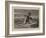 The Prize-James Dawson Watson-Framed Giclee Print