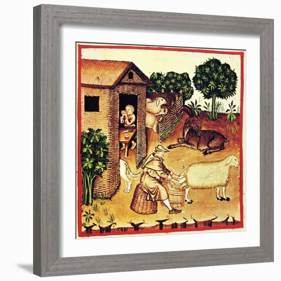 The Production of Cheese. a Miniature from Tacuinum Sanitatis, Second Half of 14th C-null-Framed Giclee Print