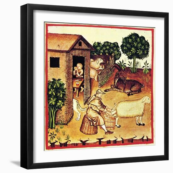 The Production of Cheese. a Miniature from Tacuinum Sanitatis, Second Half of 14th C-null-Framed Giclee Print