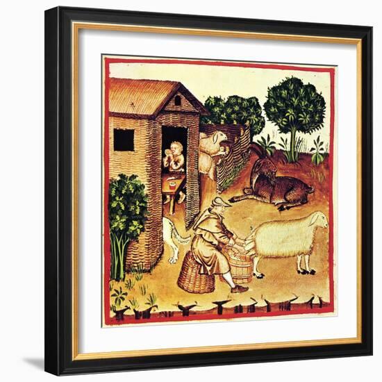 The Production of Cheese. a Miniature from Tacuinum Sanitatis, Second Half of 14th C-null-Framed Giclee Print