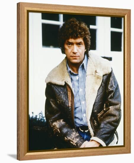 The Professionals-null-Framed Stretched Canvas