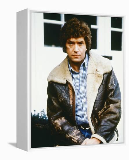 The Professionals-null-Framed Stretched Canvas