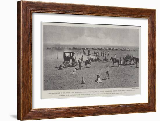 The Prohibition of the Importation of Foreign Cattle into England-null-Framed Giclee Print