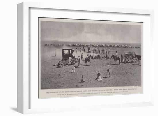 The Prohibition of the Importation of Foreign Cattle into England-null-Framed Giclee Print