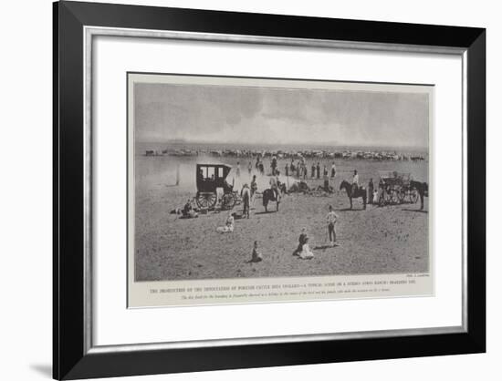 The Prohibition of the Importation of Foreign Cattle into England-null-Framed Giclee Print