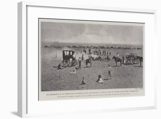 The Prohibition of the Importation of Foreign Cattle into England-null-Framed Giclee Print