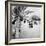 The Promenade Des Anglais, Nice, France, Late 19th Century-null-Framed Giclee Print