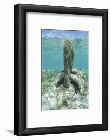 The Propeller of a Japanese Zero Fighter on a Shallow Reef in Palau-Stocktrek Images-Framed Photographic Print