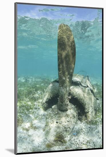 The Propeller of a Japanese Zero Fighter on a Shallow Reef in Palau-Stocktrek Images-Mounted Photographic Print