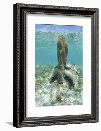 The Propeller of a Japanese Zero Fighter on a Shallow Reef in Palau-Stocktrek Images-Framed Photographic Print