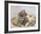 The Prophet Isaiah-Giambattista Tiepolo-Framed Giclee Print