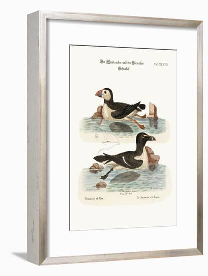 The Puffin, and the Razor-Bill, 1749-73-George Edwards-Framed Giclee Print