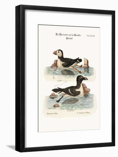 The Puffin, and the Razor-Bill, 1749-73-George Edwards-Framed Giclee Print