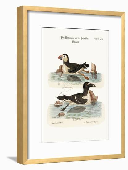 The Puffin, and the Razor-Bill, 1749-73-George Edwards-Framed Giclee Print