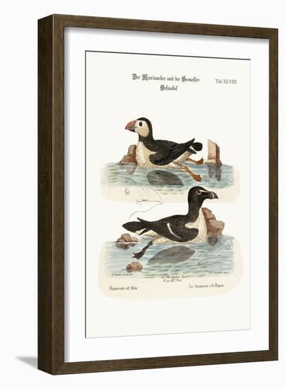 The Puffin, and the Razor-Bill, 1749-73-George Edwards-Framed Giclee Print