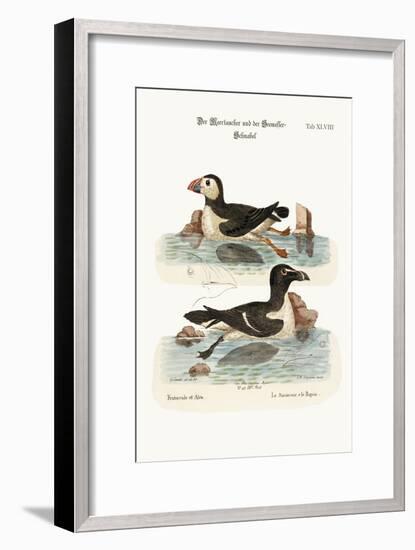 The Puffin, and the Razor-Bill, 1749-73-George Edwards-Framed Giclee Print