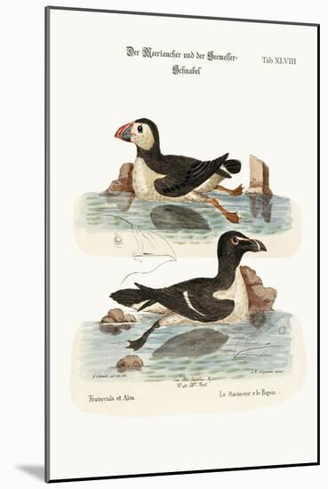 The Puffin, and the Razor-Bill, 1749-73-George Edwards-Mounted Giclee Print