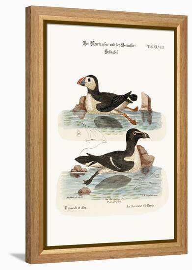 The Puffin, and the Razor-Bill, 1749-73-George Edwards-Framed Premier Image Canvas