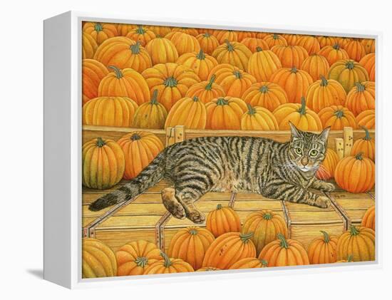 The Pumpkin-Cat, 1995-Ditz-Framed Premier Image Canvas