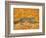 The Pumpkin-Cat, 1995-Ditz-Framed Giclee Print