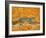 The Pumpkin-Cat, 1995-Ditz-Framed Giclee Print