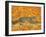 The Pumpkin-Cat, 1995-Ditz-Framed Giclee Print