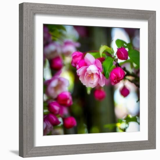 The Purest Thing-Philippe Sainte-Laudy-Framed Photographic Print