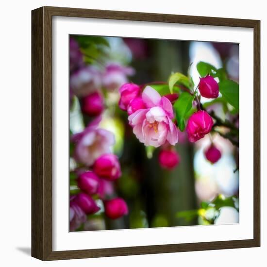 The Purest Thing-Philippe Sainte-Laudy-Framed Photographic Print