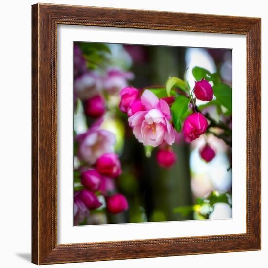 The Purest Thing-Philippe Sainte-Laudy-Framed Photographic Print