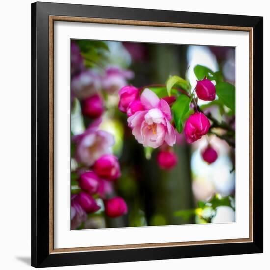 The Purest Thing-Philippe Sainte-Laudy-Framed Photographic Print