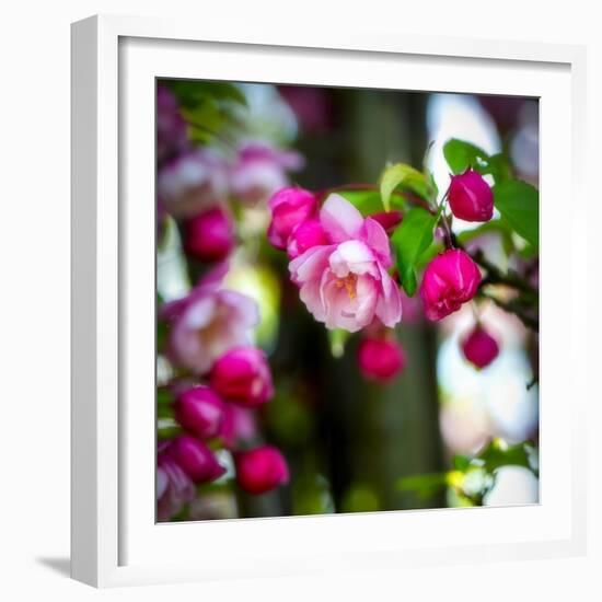 The Purest Thing-Philippe Sainte-Laudy-Framed Photographic Print