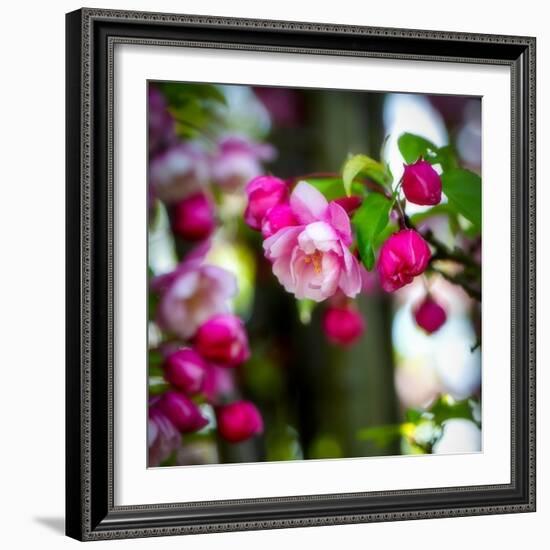 The Purest Thing-Philippe Sainte-Laudy-Framed Photographic Print