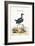 The Purple Water-Hen, 1749-73-George Edwards-Framed Giclee Print