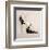 The Purrfect Fit I-Marilyn Robertson-Framed Art Print