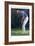 The Putt-Unknown Unknown-Framed Art Print