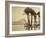 The Pyramids, 1860-69-G. Lekegian-Framed Photographic Print