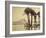 The Pyramids, 1860-69-G. Lekegian-Framed Photographic Print