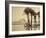 The Pyramids, 1860-69-G. Lekegian-Framed Photographic Print