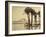 The Pyramids, 1860-69-G. Lekegian-Framed Photographic Print