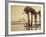 The Pyramids, 1860-69-G. Lekegian-Framed Photographic Print