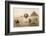 The Pyramids and the Sphinx at Giza, Cairo, Egypt-null-Framed Photographic Print